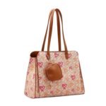 CARTERA CHENSON