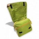 PORTAFOLIO LA ERA DE HIELO - Imagen 3