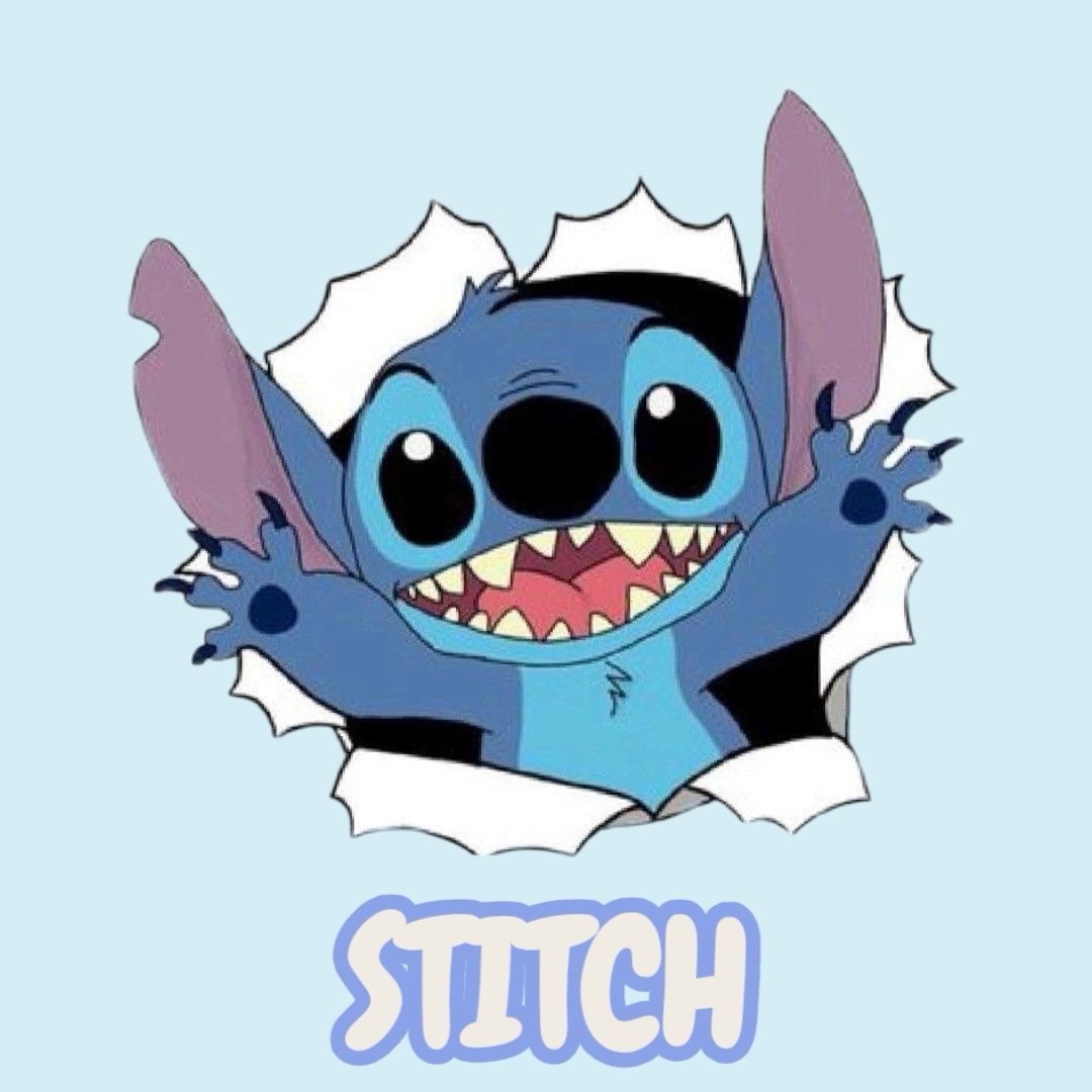 COLECCIÓN STITCH