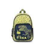MOCHILA DE ESPALDA DINO
